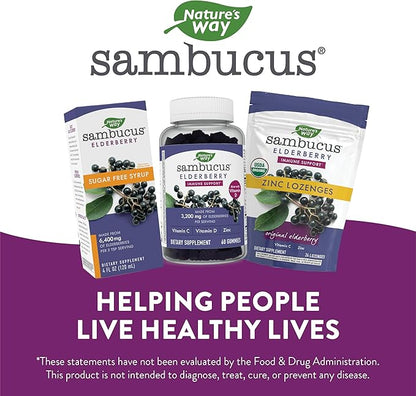 Nature’s Way Sambucus Organic Zinc Lozenges, 24 Lozenges