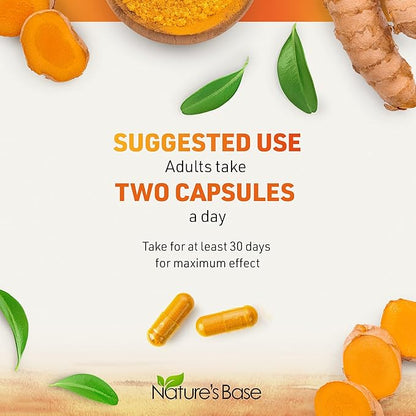 Turmeric and Ginger Supplement 95% Curcuminoids -120 Capsules