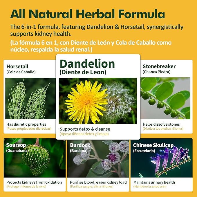 Kidney Cleanse Drops, Diente de Leon 4oz