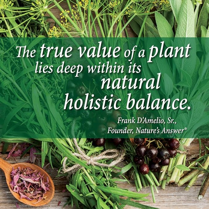 Nature's Answer Alcohol-Free Milk Thistle 1