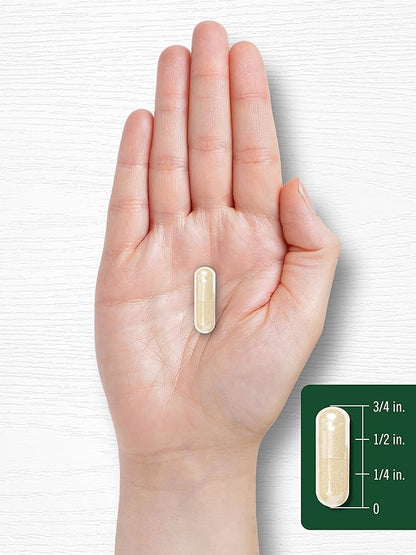 Carlyle White Kidney Bean 6000mg | 200 Count
