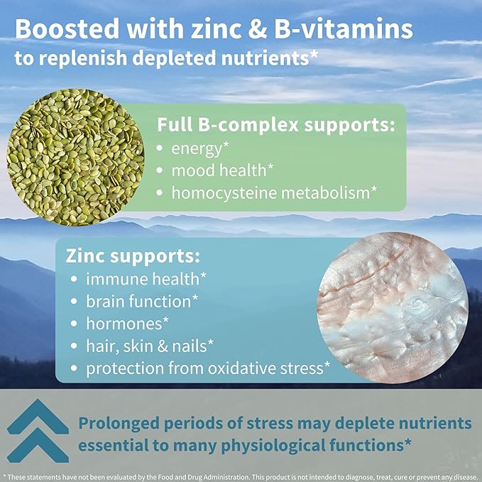 Advanced Ashwagandha KSM-66, L-Theanine & Magnesium, Ashwagandha For Men and Women, Multi Action Adaptogen Complex for Stress Support with Zinc & B Vitamins, Clean Label, 60 Vegan Capsules, by Igennus