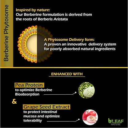 B’Leaf Nature's Berberine Phytosome Vegetarian Capsules 60 Capsules, 1100mg per