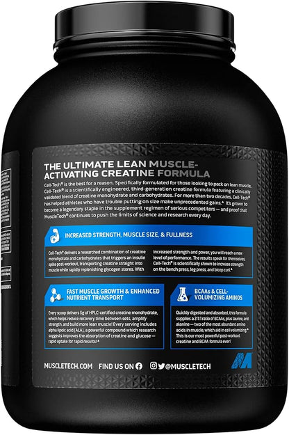 Creatine Monohydrate Powder | MuscleTech Cell-Tech Creatine Powder | Post Workout Recovery Drink | Muscle Builder for Men & Women | Musclebuilding Creatine Supplements | Fruit Punch, 6 lbs (56 Serv)