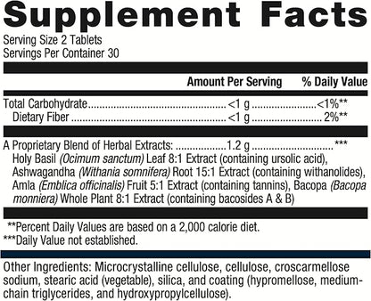 Metagenics Exhilarin - Energy & Stress Tolerance Support* - with Ashwagandha, Holy Basil, Amla & Bacopa - Designed in Style of Ayurvedic Medicine - 60 Tablets