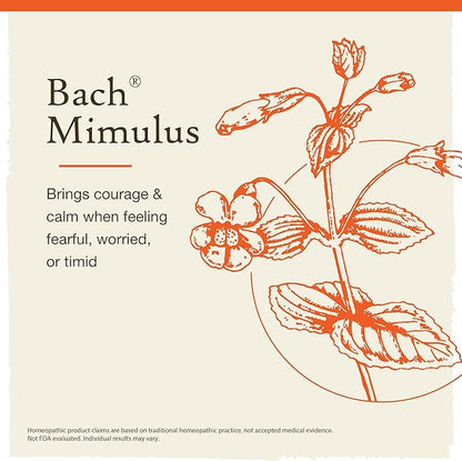 Bach Original Flower Remedies, Mimulus 20mL Dropper