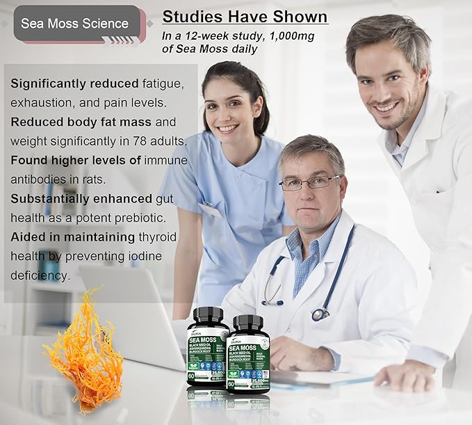 16-in-1 Organic Sea Moss 17500mg Ashwagandha 5000mg Black 4000mg Turmeric 5000mg Bladderwrack D3 with