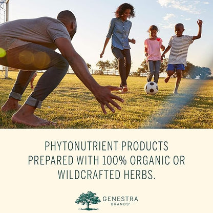 Genestra Brands Phyto Greens Capsules 180 Capsules