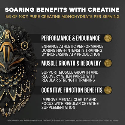 BIRDMAN Falcon Performance Vegan Protein Powder, 31g Protein, 5g Creatine, 5g BCAA, -19 servings