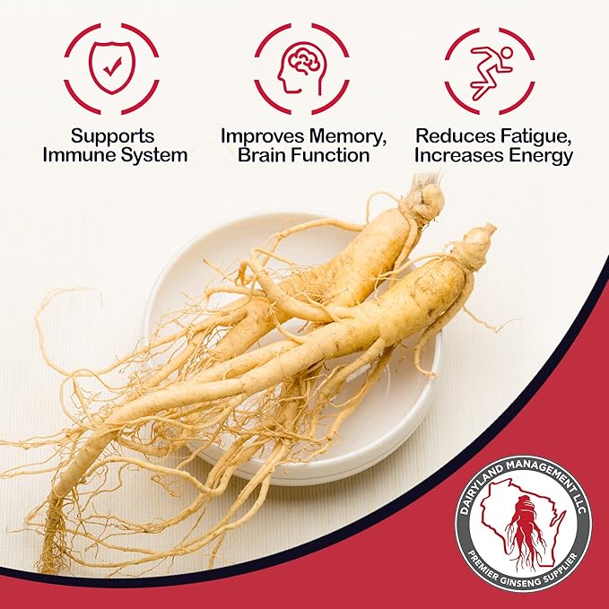 Dairyland Premium American Ginseng Powder 西洋参 8 oz