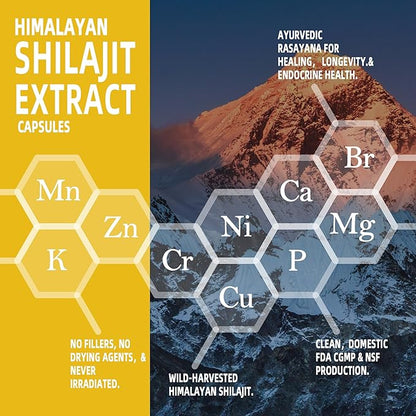Shilajit Capsules Himalayan 8-in-1 Concentrated Organic, 15250mg of 60 Caps, 30 Day