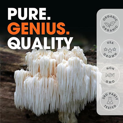 Genius Lions Mane Cognition Vitamins Supplement Capsules - Organic Nootropic Supplement, 1200mg per Serving – 120 Veggie Pills