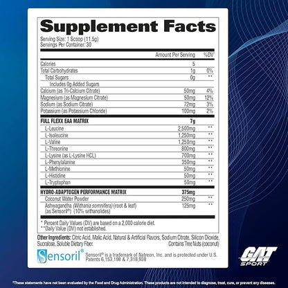 GAT SPORT Flexx EAAs + Hydration, Advanced Essential Amino Acids, 30 Servings (Strawberry Mango)