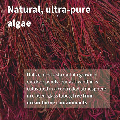 Astaxanthin Complex with Lutein and Zeaxanthin, 42 mg 4mg Softgels,