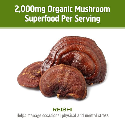 OM MUSHROOM SUPERFOOD Reishi Organic Mushroom Powder, 3.5 Ounce, 50 Servings, Adaptogen, Stress & Immune Support, Superfood Mushroom Supplement