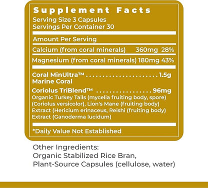 Premier Research Labs Calcium Magnesium Plus - Calcium Magnesium Supplement, Calcium Supplement for Bone Health, with Mushroom Complex - Reishi & Lions Mane - 90 Vegetarian Capsules