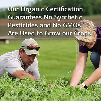 Standard Process - Enzycore - 150