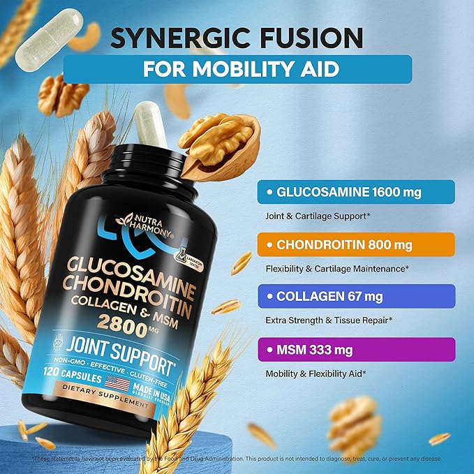 Glucosamine | Chondroitin | MSM | 2800 mg 120 Capsules