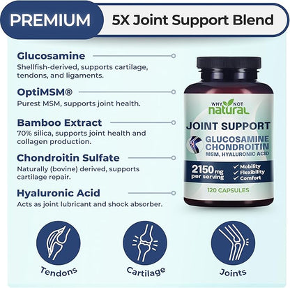 Why Not Natural Glucosamine Chondroitin, MSM, Joint Support Supplements - Knee Pain Joints Health Suppplement