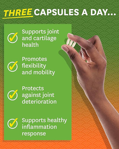 Zenwise Health Glucosamine Chondroitin MSM - Joint Support Turmeric Supplement for Hands, Back, Knee, and Joint Health, Advanced Relief for Bone and Joint Flexibility and Mobility - 90 CT