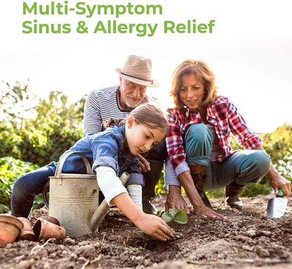 Rite Aid Sinus & Allergy Relief 24 Count 4 Hour