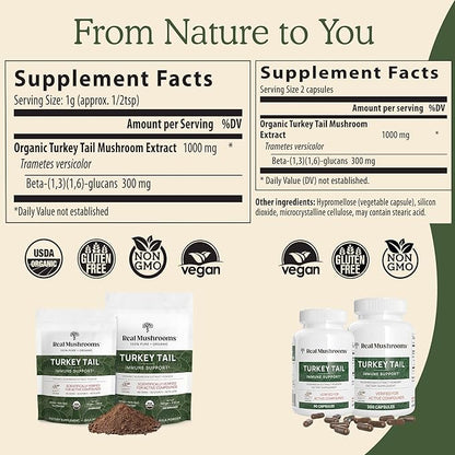 Real Mushrooms Turkey Tail Capsules - Organic Mushroom Supplement with Potent Turkey Tail Mushroom Extract for Gut, Energy, Brain, & Immune Support - Vegan Mushroom Extract, Non-GMO, 90 Caps