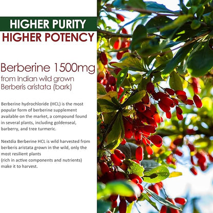 Berberine Supplement 1500mg, Sugar Free Berberine 2 Pack