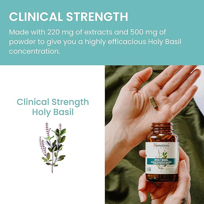 Himalaya Holy Basil Tulsi Herbal Supplement, 720 mg, 60 Capsules, 2 Pack