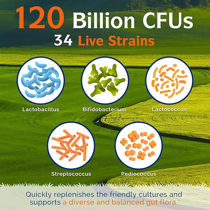 Innate Vitality Probiotics 120 Billion CFUs 34 Strains 30 Vegan
