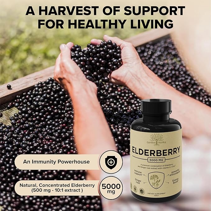 Elderberry with Vitamin C, Zinc, & Ginger – Potent Immune Booster 5000 Mg Elderberry, Zinc, & Vitamin C – Non-GMO Immunity Vitamins for Adults to Help You Feel Vibrant, 120 Caps
