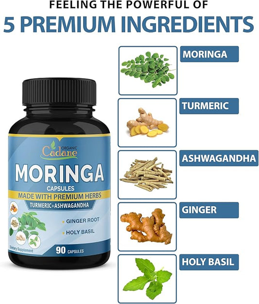 Organic Cadane Moringa Extract Capsules 6450mg, 3 Months 90 Capsules