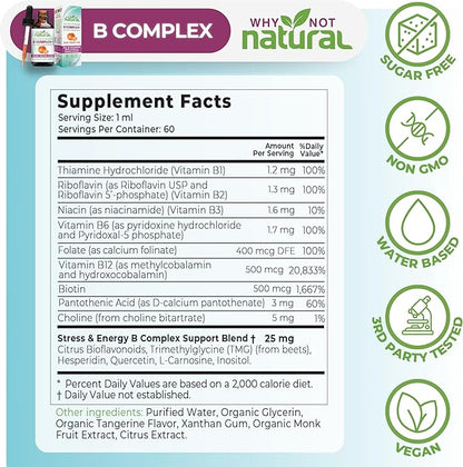 Why Not Natural Vitamin B Complex Liquid Drops - Supplement for Women - Vegan and Sublingual Forms of B1 B2 B3 B5 B6 Biotin Folate and Choline - Plus Blend for Energy Support