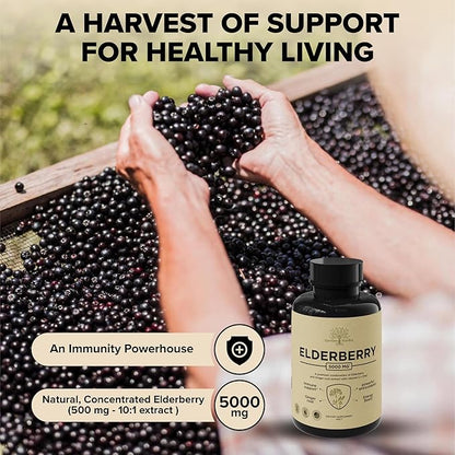 Elderberry with Vitamin C, Zinc, & Ginger – Potent Immune Booster 5000 Mg Elderberry, Zinc, & Vitamin C – Non-GMO Immunity Vitamins for Adults to Help You Feel Vibrant, 60 Caps.