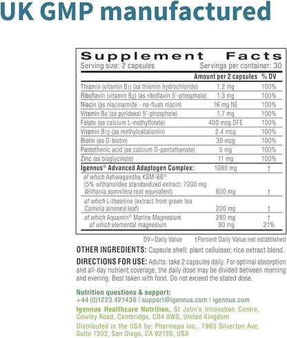 Advanced Ashwagandha KSM-66, L-Theanine & Magnesium, Ashwagandha For Men and Women, Multi Action Adaptogen Complex for Stress Support with Zinc & B Vitamins, Clean Label, 60 Vegan Capsules, by Igennus