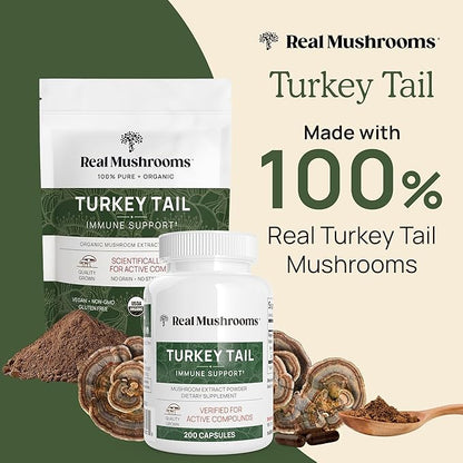 Turkey Tail Capsules - Organic Mushroom Supplement with Potent Turkey Tail Mushroom Extract for Gut, Energy, Brain, & Immune Support - Vegan Mushroom Extract, Non-GMO, 200 Caps