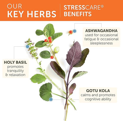 Himalaya StressCare Herbal Supplement, Supports Stress Relief, Energy Support, Relaxation, Occasional Sleeplessness, Ashwagandha, Holy Basil/Tulsi, Gotu Kola, Non-GMO, Vegetarian, 240 Capsules
