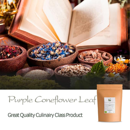 Purple Coneflower Herb Echenecia Tea