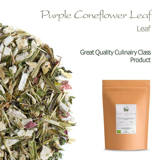 Purple Coneflower Herb Echenecia Tea