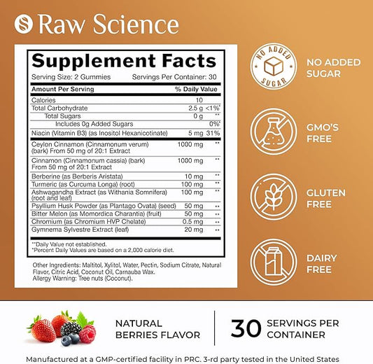 S RAW SCIENCE Sugar Free Berberine Gummies with Ceylon Cinnamon 2000mg - Blood Support - Ashwagandha, Turmeric, Chromium, Psyllium Husk Powder, Gymnema Sylvestre - 60 Fiber Gummies