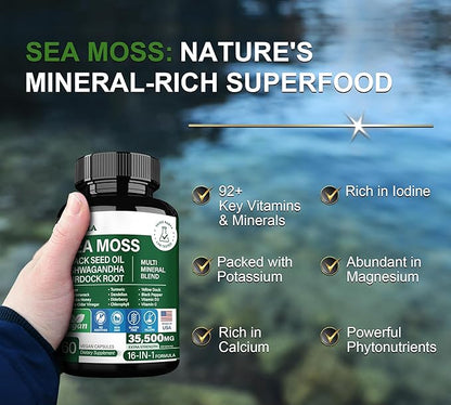 16-in-1 Organic Sea Moss 17500mg Ashwagandha 5000mg Black 4000mg Turmeric 5000mg Bladderwrack D3 with