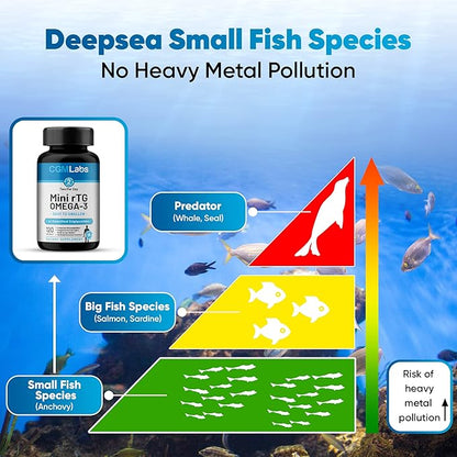 rTG Omega 3 Fish Oil Dietary Supplement 960mg - 120 Softgels