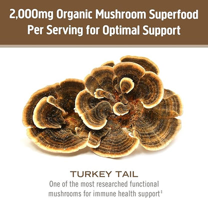 OM MUSHROOM SUPERFOOD Turkey Tail Organic Mushroom Powder Pouch, 7.05 Ounce, 100 Servings, Immune Support, Polysacchrides, Beta-Glucans, Gut Health & Holistic Defense Mushroom Supplement
