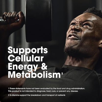 Optimum Nutrition Opti-Men Daily Multivitamin 80 Day 240 Count,