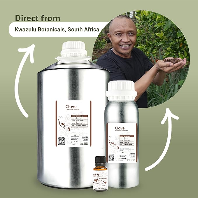 100% Pure Clove Essential Oils - Direct from Indonesian Essential Oils - Essential Oils for Diffusers Aromatherapy & Humidifiers (15ml) | Natural Cold-Pressed
