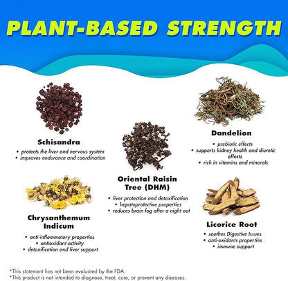 The Plug Liver Cleanse Detox & Repair Drink Electrolytes Organic Herbal Liquid Detoxify Body Plants Supplement Support Weight Loss Natural Health Hydrate Sports Energy Immunity Shots Minerals Vitamins