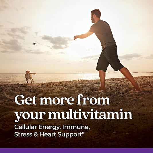 New Chapter Men's Multivitamin for Immune, 48 ct
