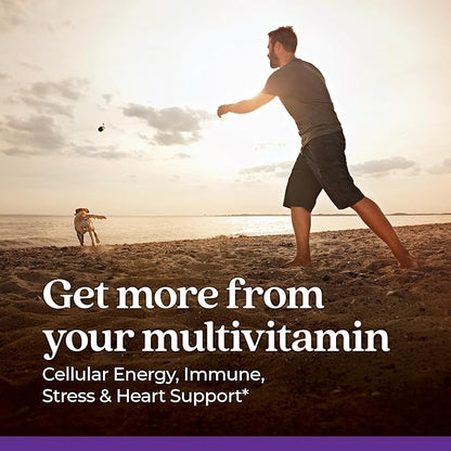 New Chapter Men's Multivitamin for Immune, 96 ct
