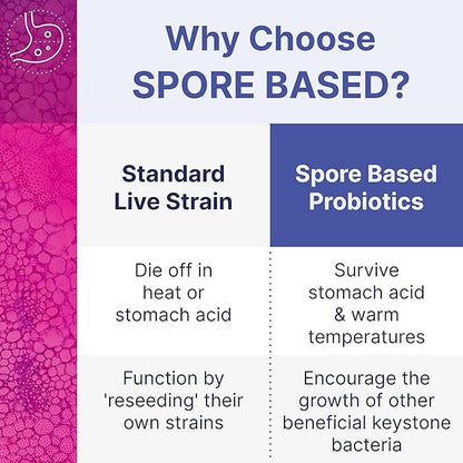 Microbiome Labs MegaSporeBiotic Probiotics for Women & Men - Spore Based Probiotic Nutritional Supplements for Digestive & Gut Health Support - Shelf Stable & Travel-Friendly (180 Capsules)
