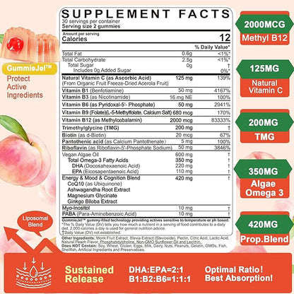 Vitamin B Complex Filled Gummies for Women & Men, Methylated B Complex w/Omega 3, Magnesium,CoQ10, Ashwagandha,Vitamin C, TMG -All B - B1,B2,B3,B5,B6,B7,B9 Folate,B12,Inositol,PABA, Sugar Free, 2 Pack