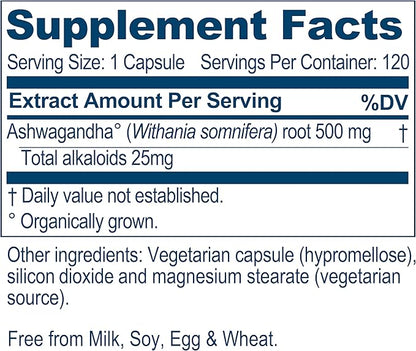 Ayush Herbs Ashwagandha, Ayurvedic Cognitive Support 120 Vegetarian